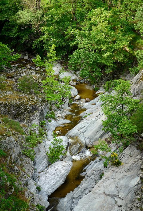 River Side Rooms Elassona Dış mekan fotoğraf