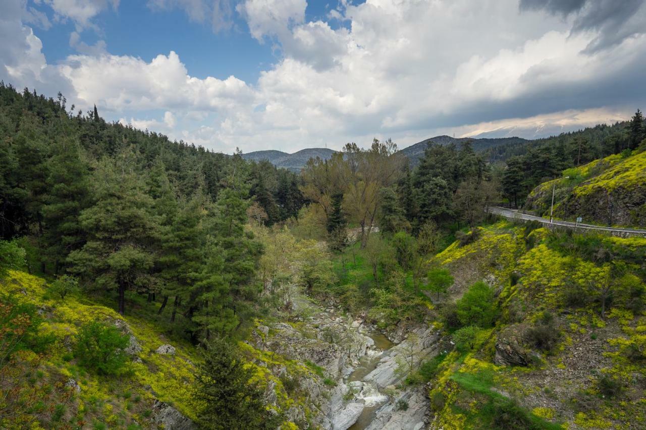 River Side Rooms Elassona Dış mekan fotoğraf